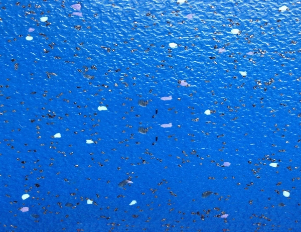 交通系統地板007