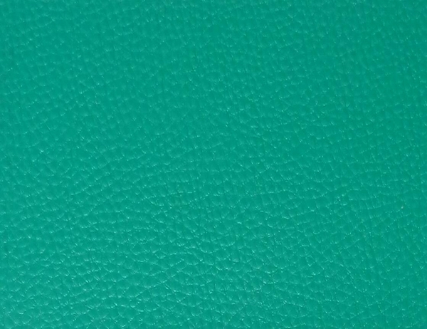 擊劍館運動地板2