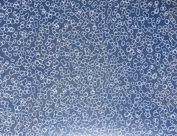 教育系統(tǒng)pvc地板005