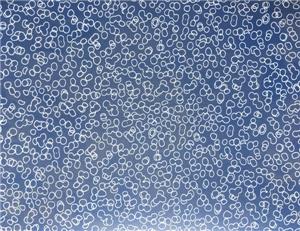 教育系統pvc地板005